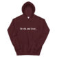 unisex-heavy-blend-hoodie-maroon-front-610330a0a90c8